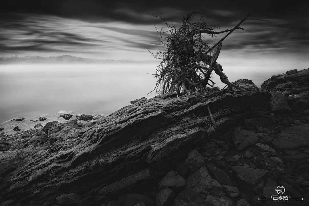 李鸿飞摄影作品初春,李鸿飞画家