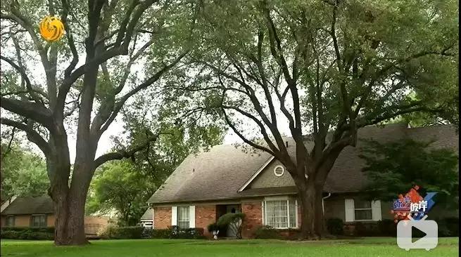 富二代每个月被逼着花钱怎么办,当富二代有一天变穷了