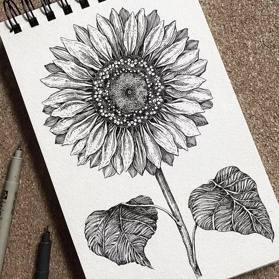 一看就懂的针管简笔画,针管笔入门手绘1000例临摹图