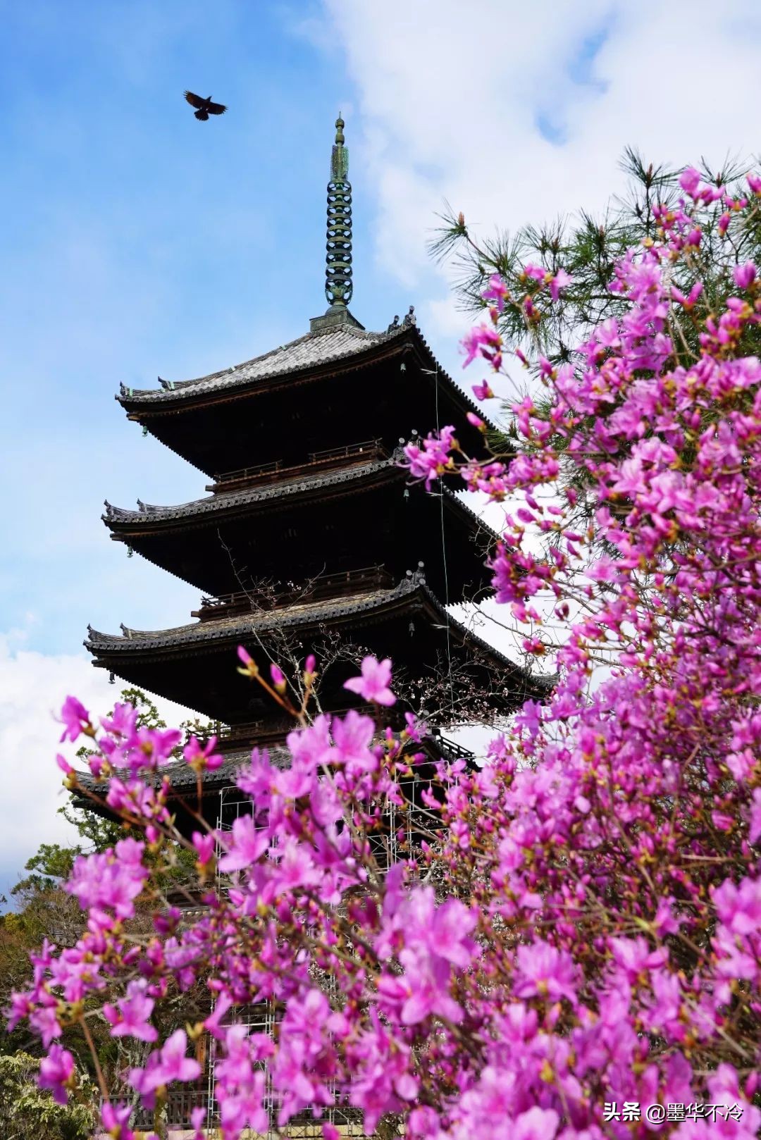 京都一眼千年的美景,京都永恒的美