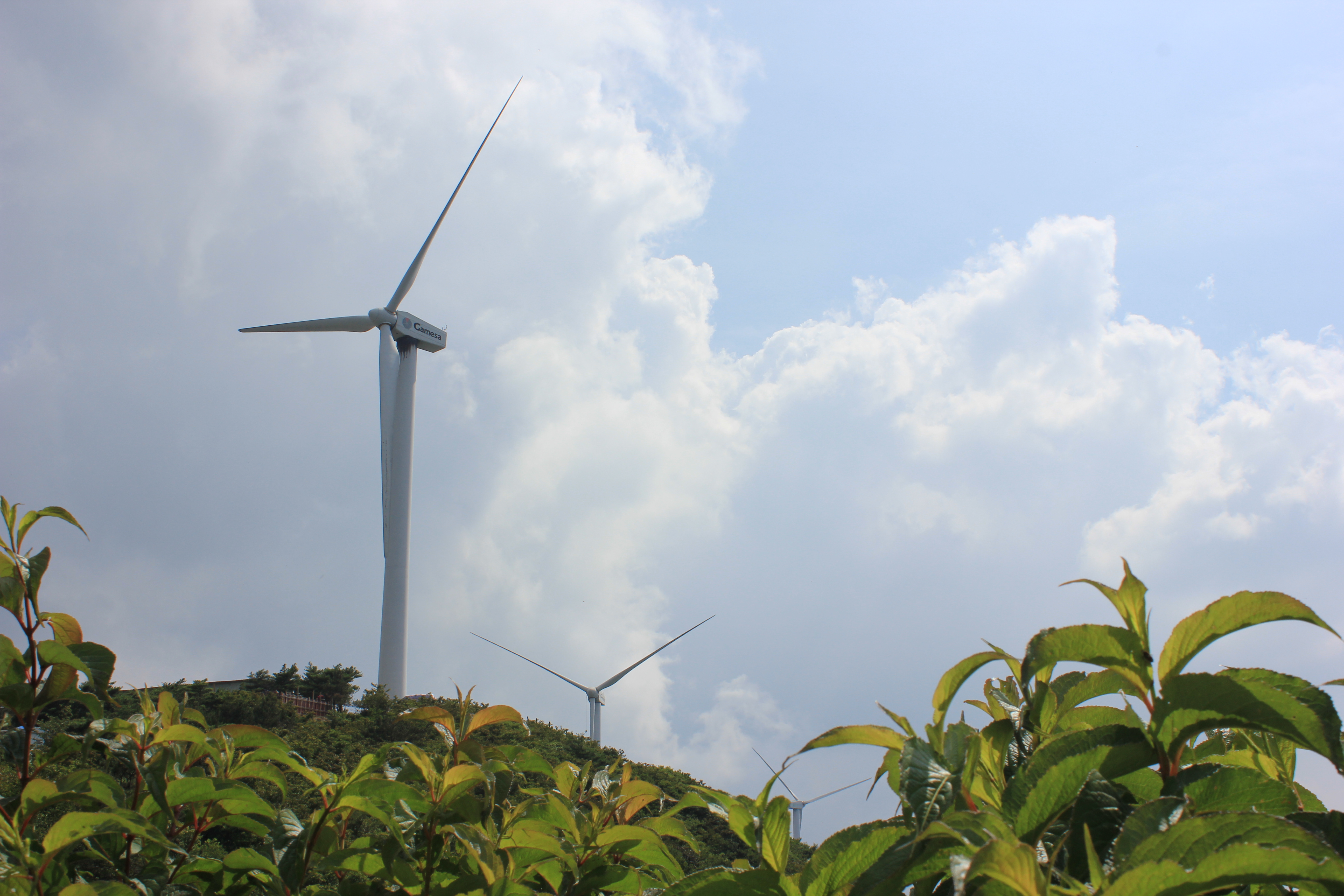 武汉周边避暑胜地|端午武汉至咸宁九宫山2日自驾亲子游路线分享