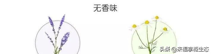 眼睛正常要几小时休息,眼睛24小时流泪是什么原因