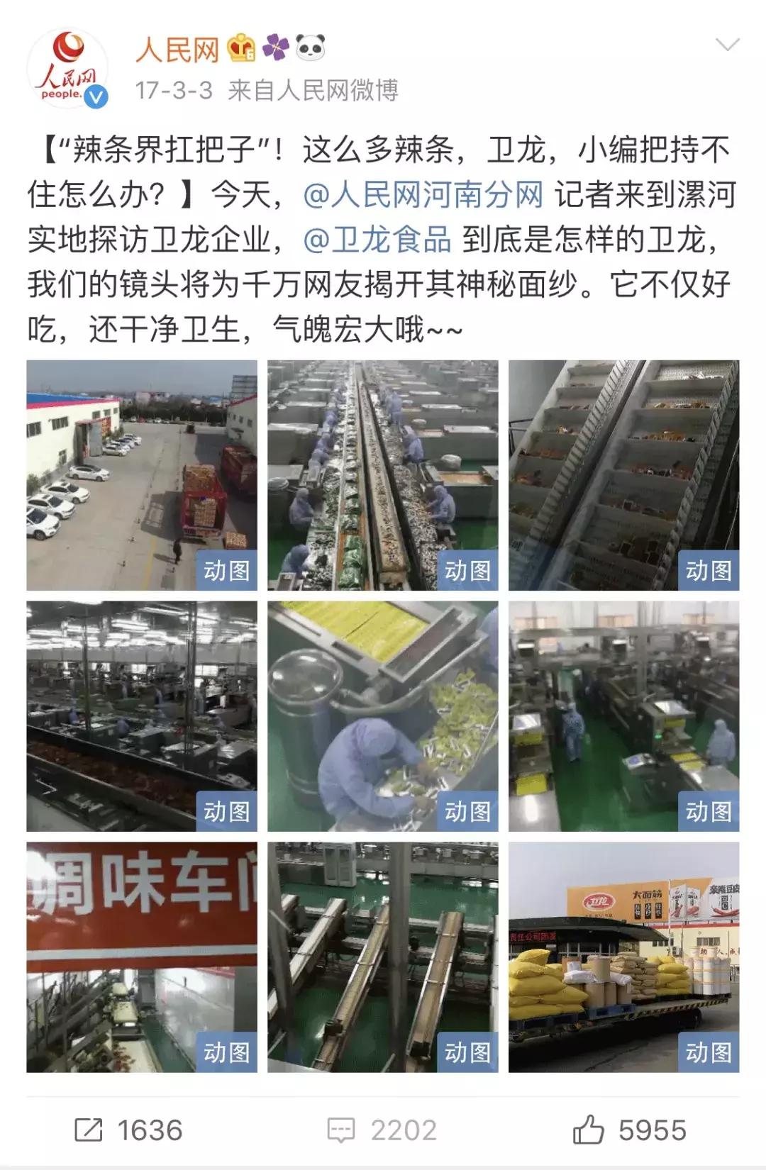 高瓴资本和卫龙,卫龙创业时间