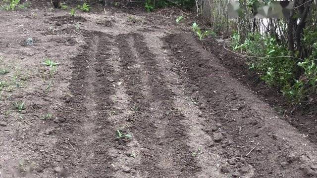 涓存矀鍏板北涓鲸闃冲厜璞涵鍥涘涓ゅ巺,鍏板北涓鲸闃冲厜璞涵