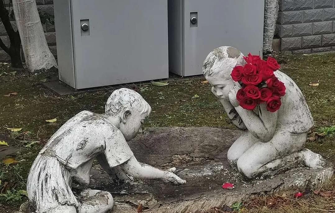 想学的东西太多了,学不过来了怎么办?