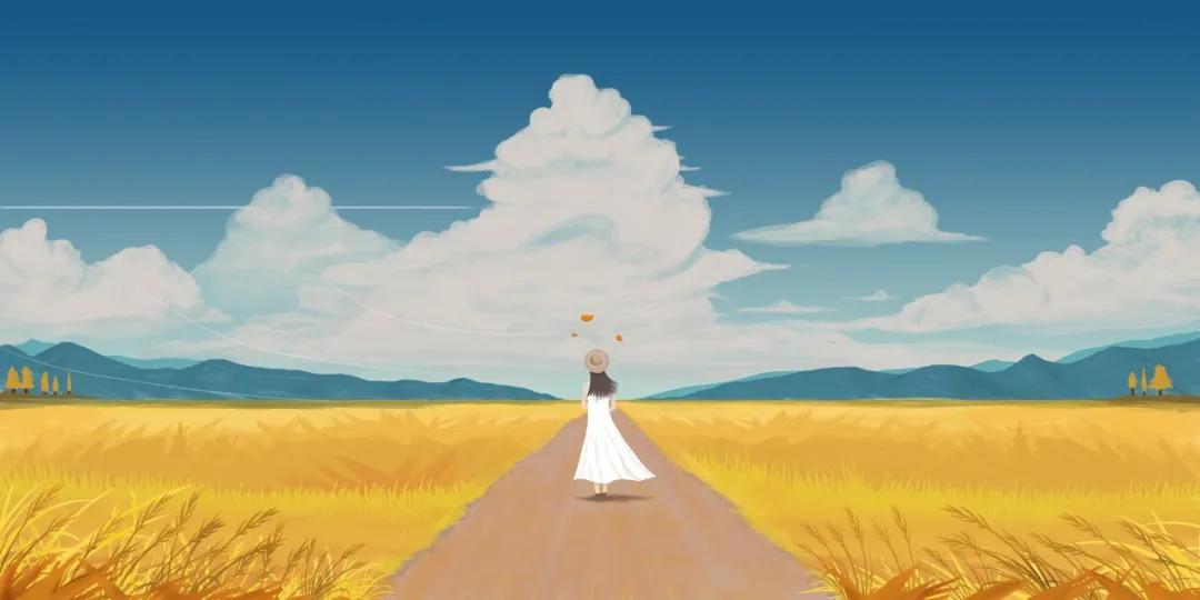 谷品新约面条,谷品新约荞麦面组合