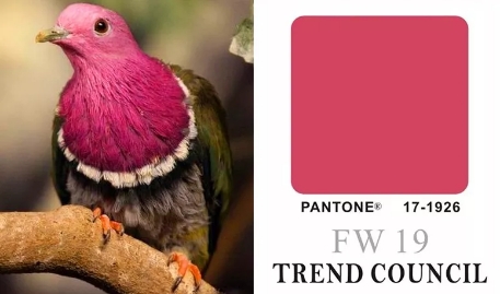 穿这3种流行色显瘦显白 (超显白的时尚潮色)