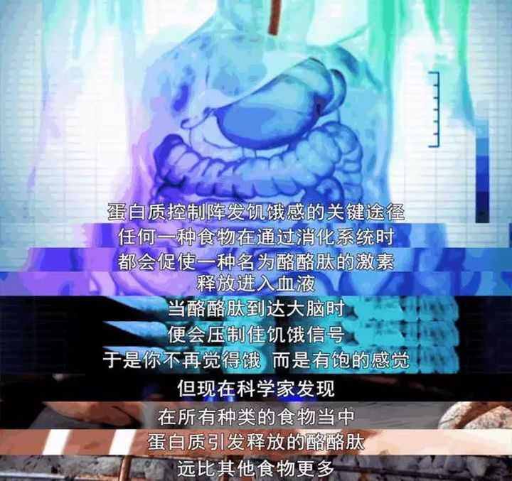 健康快速减肥食谱,怎么快速又健康的减肥