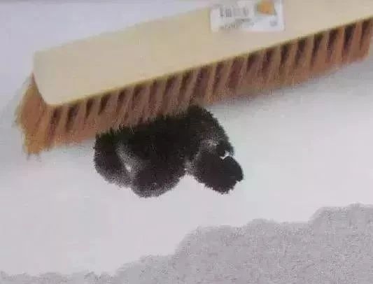 国画作品常识有哪些,国画创作的思路和方法