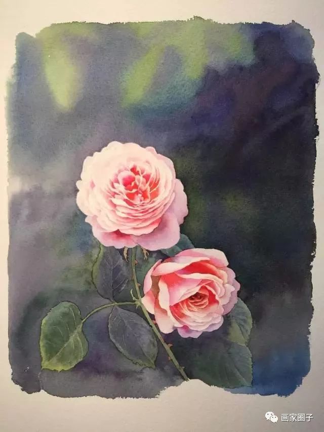 100种漂亮花卉图片,100张漂亮花图