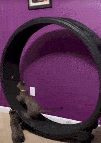 穿恨天高坐地铁的社死现场,两位男士都不忍看这次“崴脚表演”