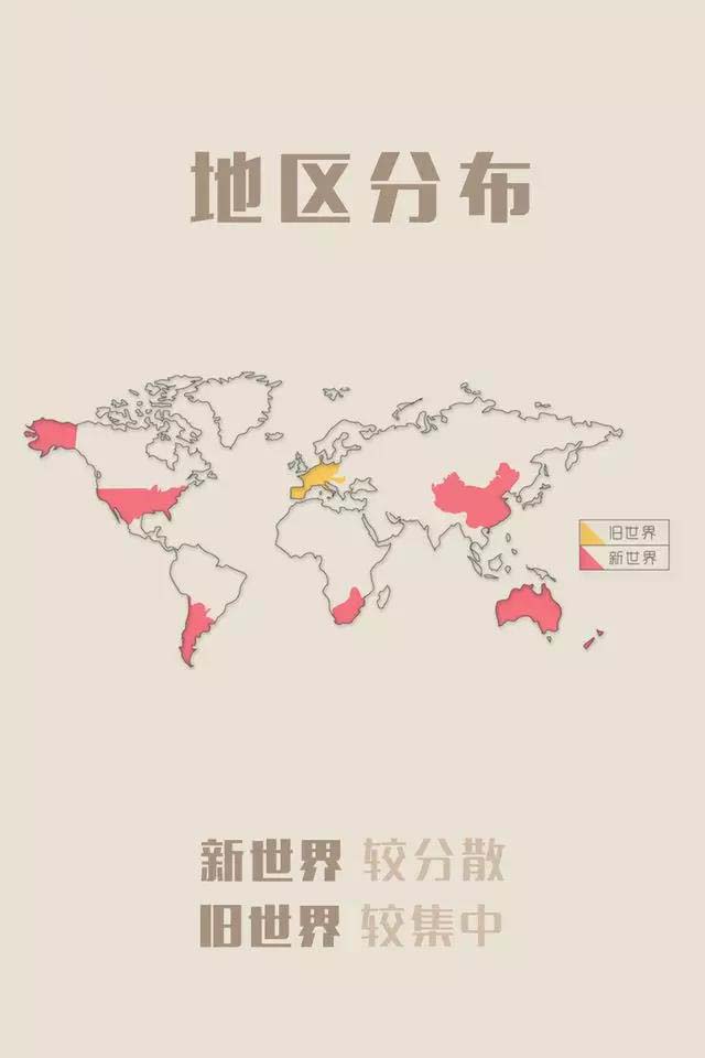 为什么新世界的葡萄酒便宜？