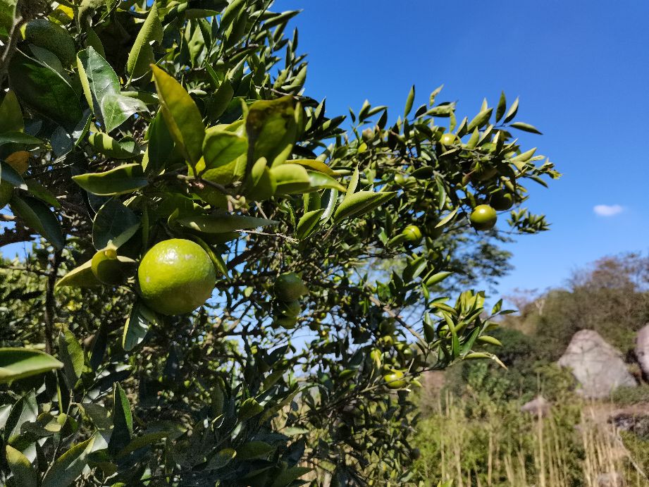 温州瓯海古洞岩景区,温州市瓯海仙岩风景区