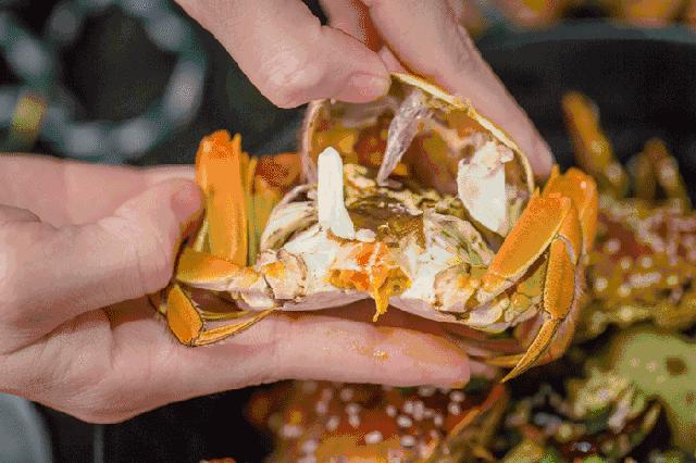 鍚冨湪娴峰彛鐜╁湪涓変簹浣忓湪鐞兼捣,鐜╁湪涓変簹鍚冨湪娴峰彛浣忓湪鐞兼捣