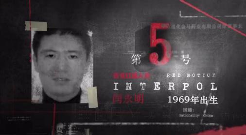 中国伟哥事件,中国伟哥之父完整版