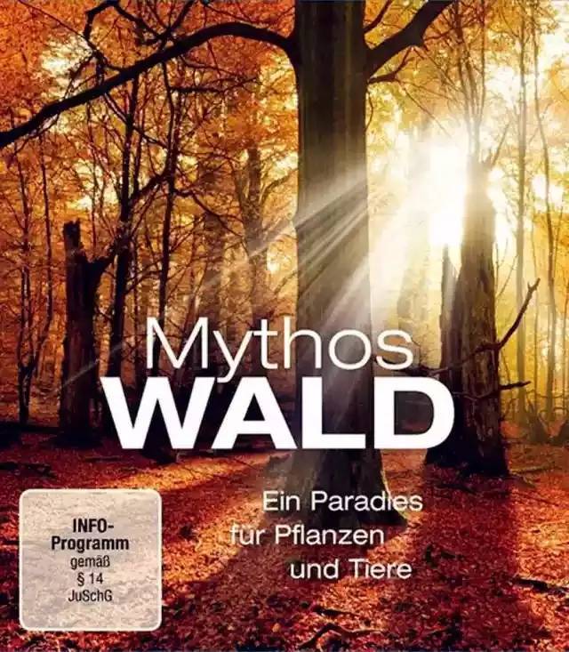 适合暑假和孩子一起看的10部电影,暑期电影