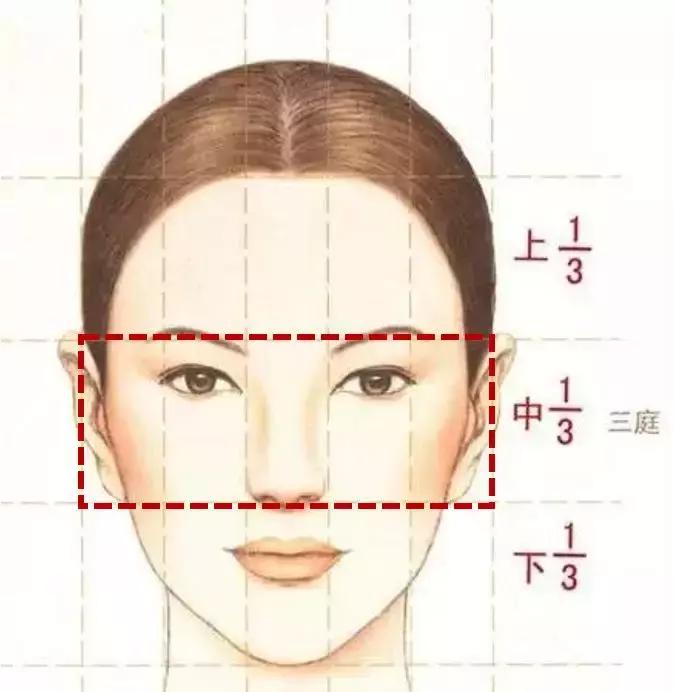 中庭又长又宽显老,中庭长怎么避免显老