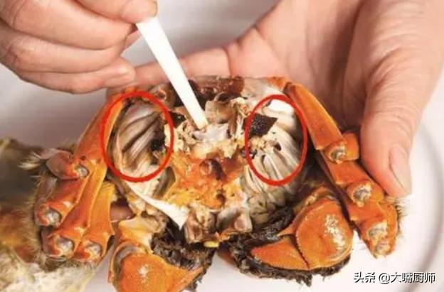 挑梭子蟹怎么挑,怎么挑梭子蟹肥美