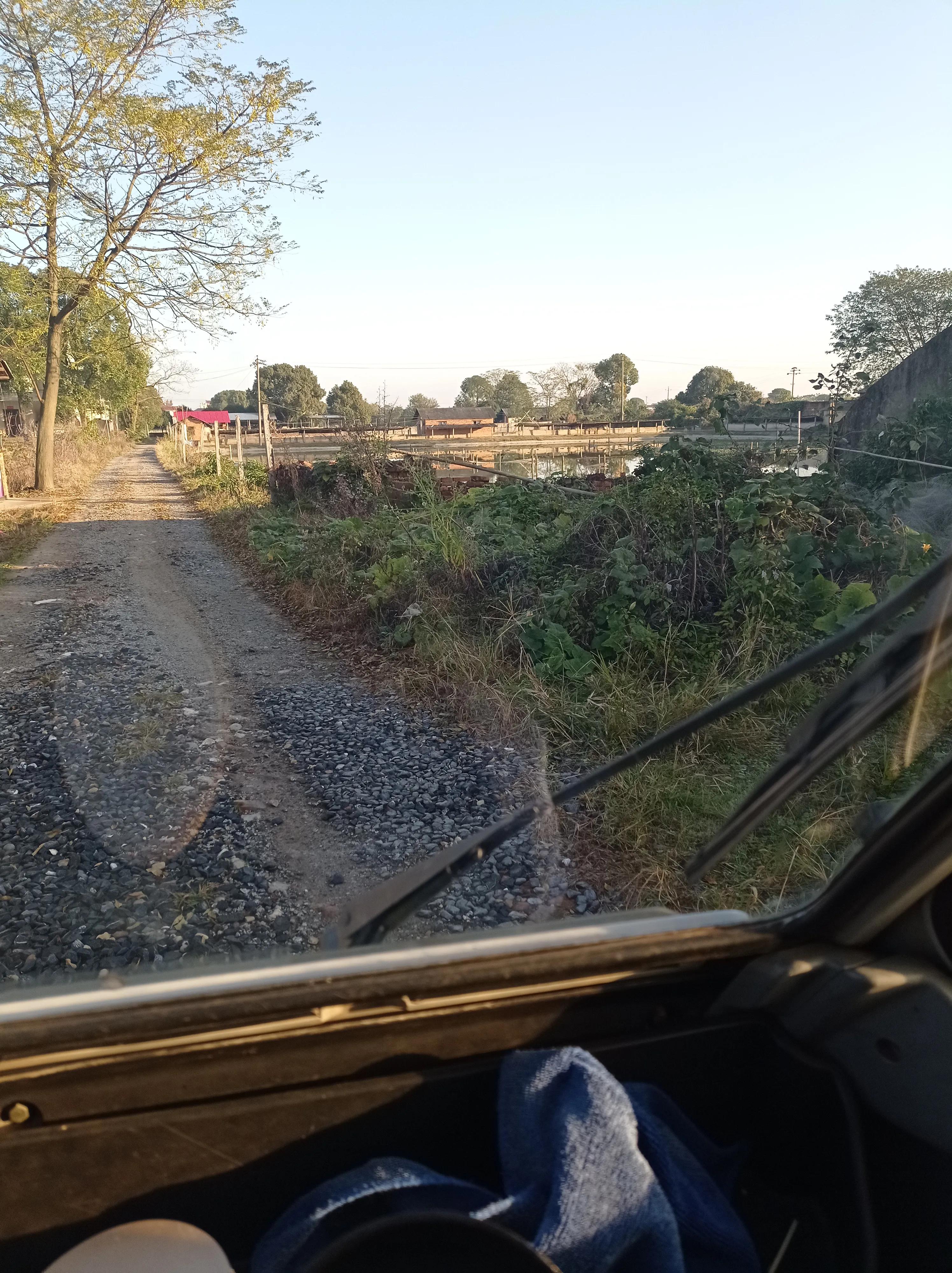 汉寿东仓湖生态水产,汉寿水产养殖基地