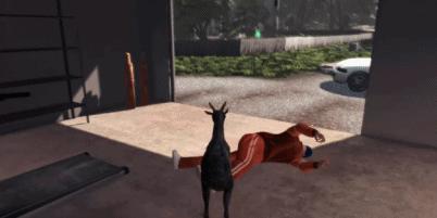 逃离精神病院的游戏叫什么,精神病院真实生活游戏