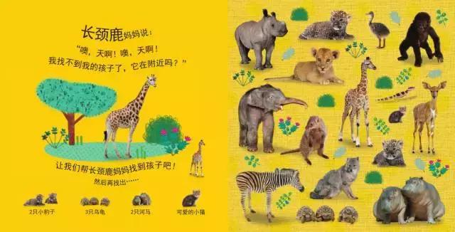 被封神的DK儿童科普书籍，到底哪些值得读？建议家长入手前看这篇