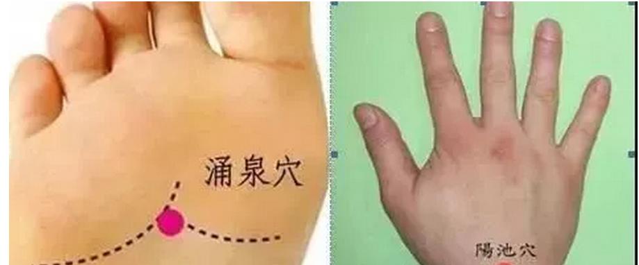 湿气不除，百病缠身！养生祛湿“宝典”助你轻松排出体内湿毒