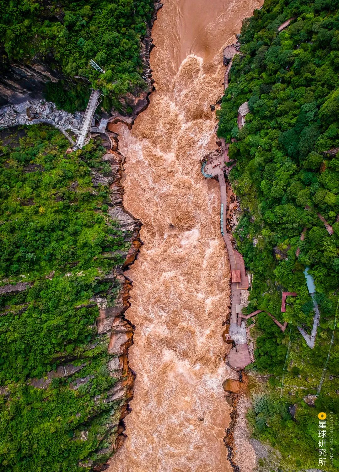 中国植树造林成果国外有什么看法,植树造林改造沙漠