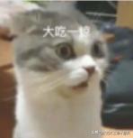 如果粮食涨价应该买什么期货,如果粮食涨价十倍会有什么后果