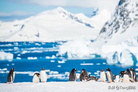 年轻人，你的拖延症再不治，地球可能有危险……