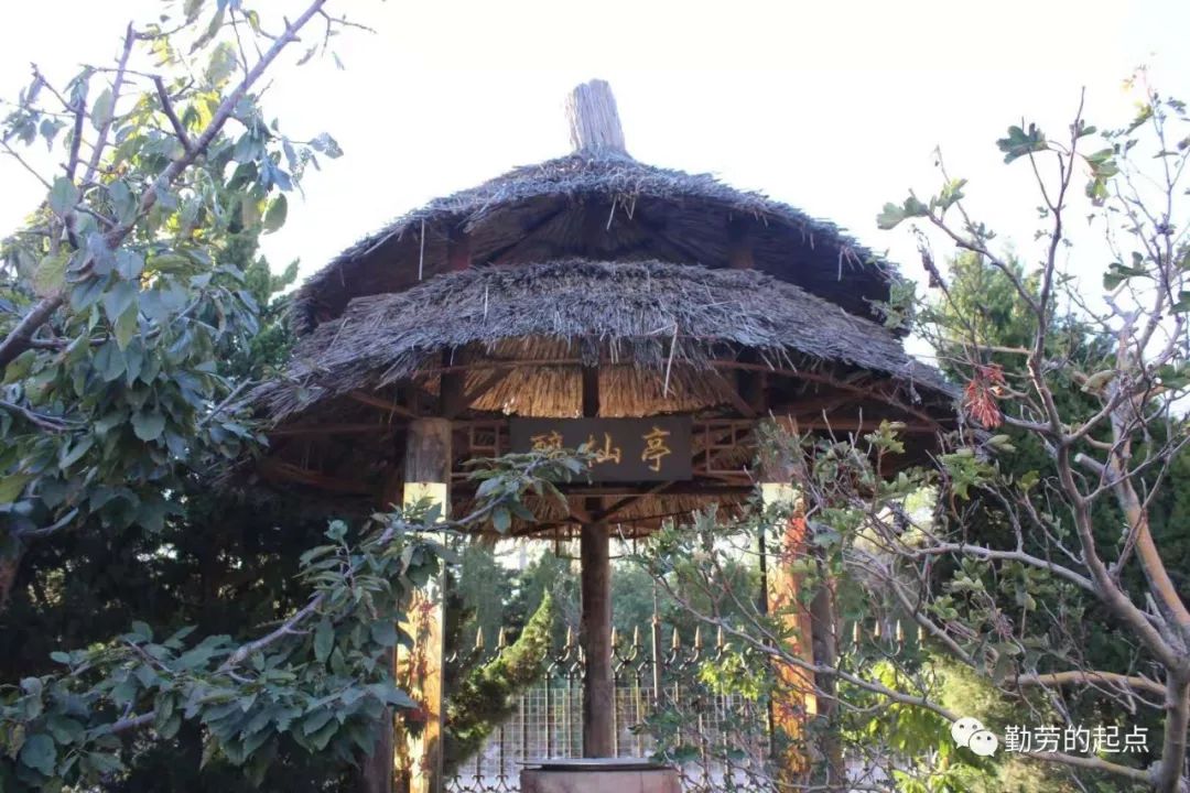 有品位的人都爱逛博物馆,有品位的人都爱去博物馆