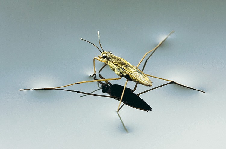 物理引力辐射,电磁辐射和粒子辐射