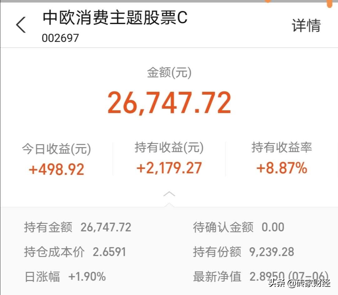 基金投资日记及注意事项,基金大涨如何理性投资