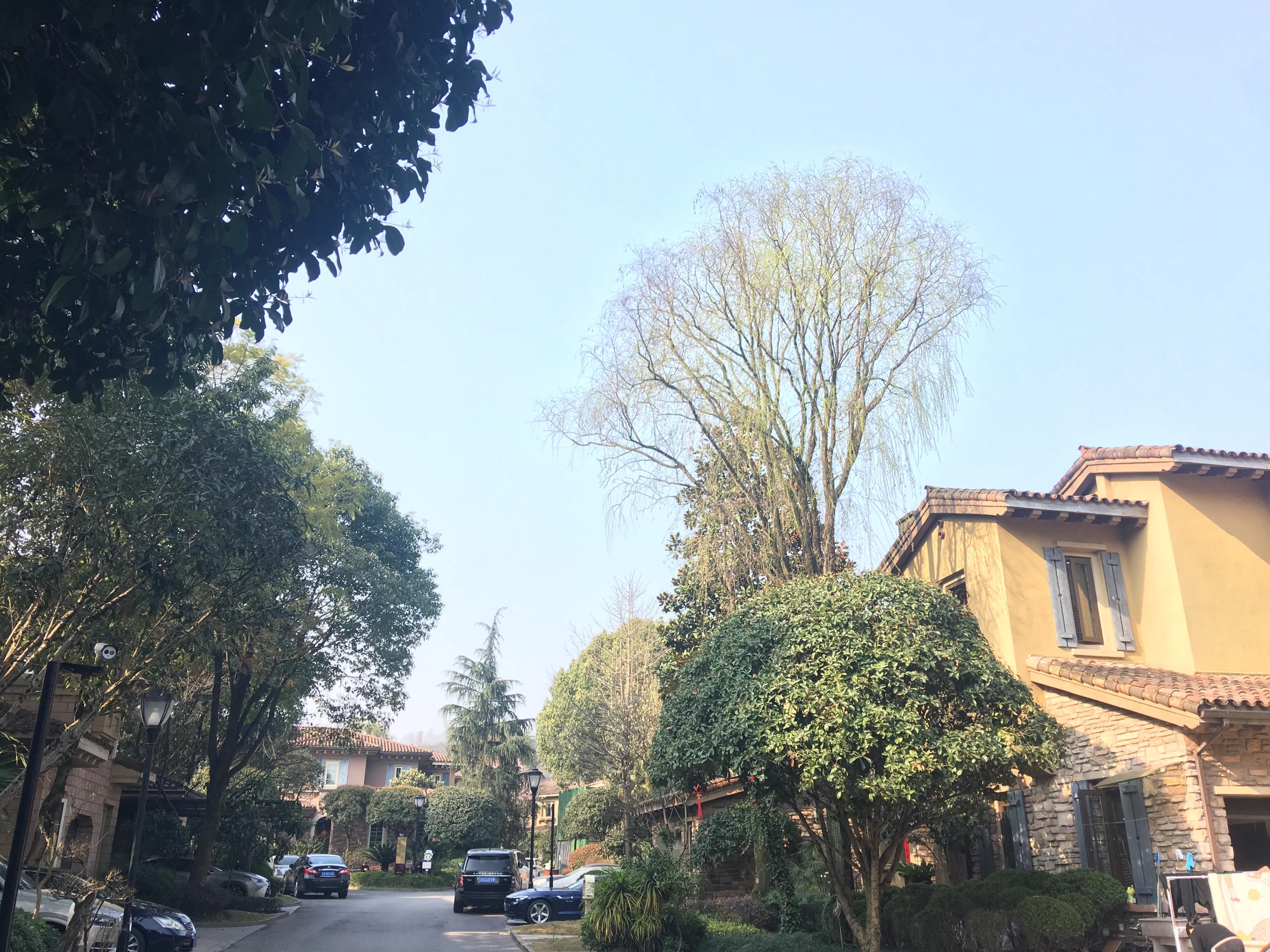 重庆龙湖蓝湖郡临湖,重庆龙湖蓝湖郡租房