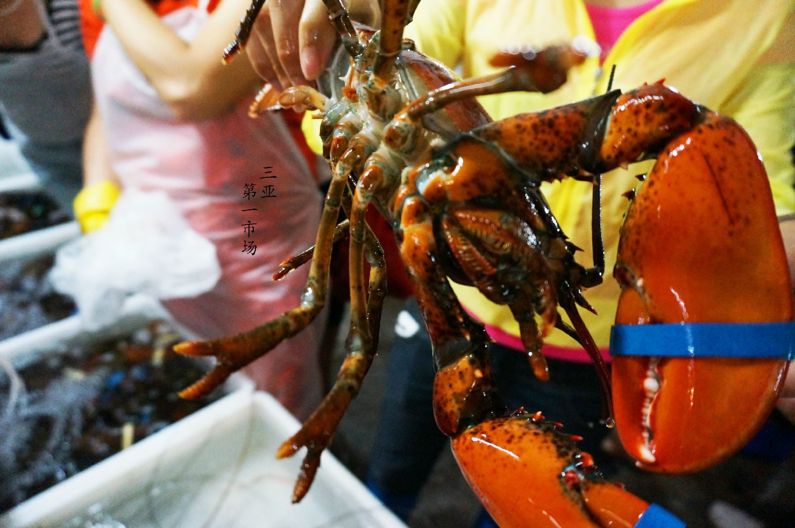 海南租车别克7座每天价格,海南自驾租车最便宜