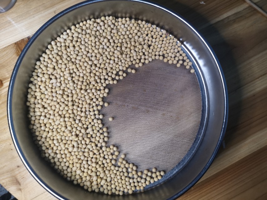 种植黄豆成本和利润,种一亩大豆成本明细