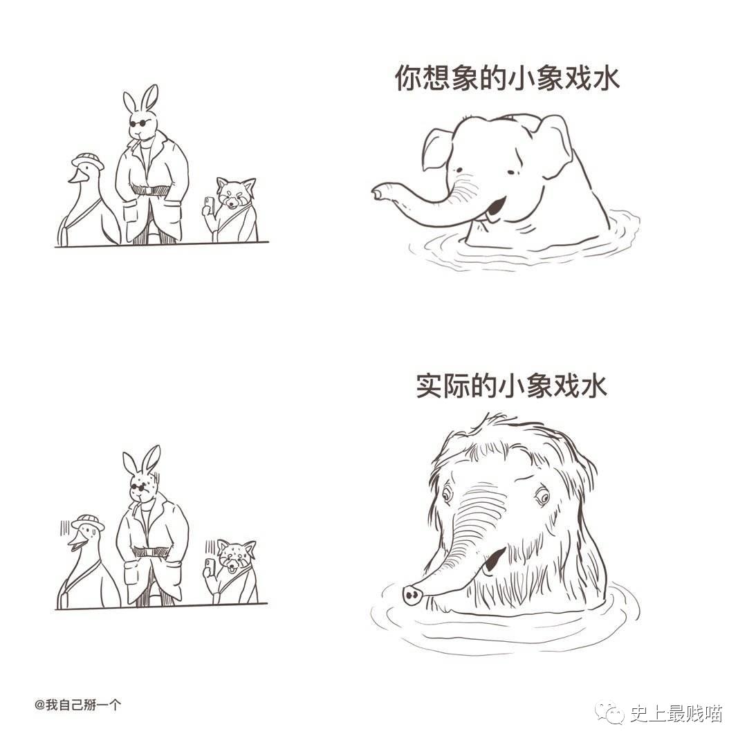 第一次看到把抖m说的这么清新脱俗的...实在太形象了哈哈哈哈哈！