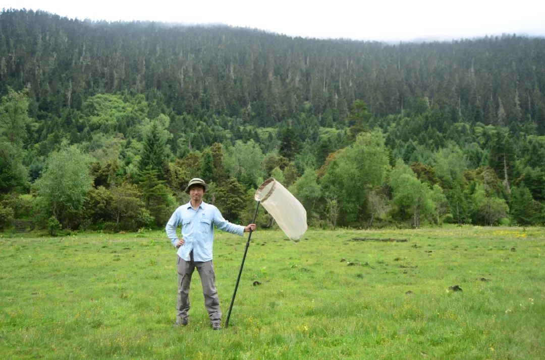喜欢昆虫的孩子应该怎么培养,小时候喜欢昆虫长大了却不喜欢了