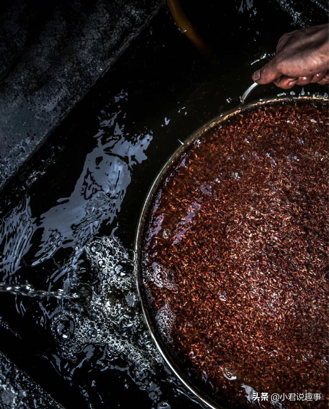 温州，除了钱和炒房团一无所有？进来认识不一样的温州