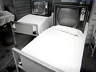 行为艺术家深度解析,行为艺术专家讲的什么