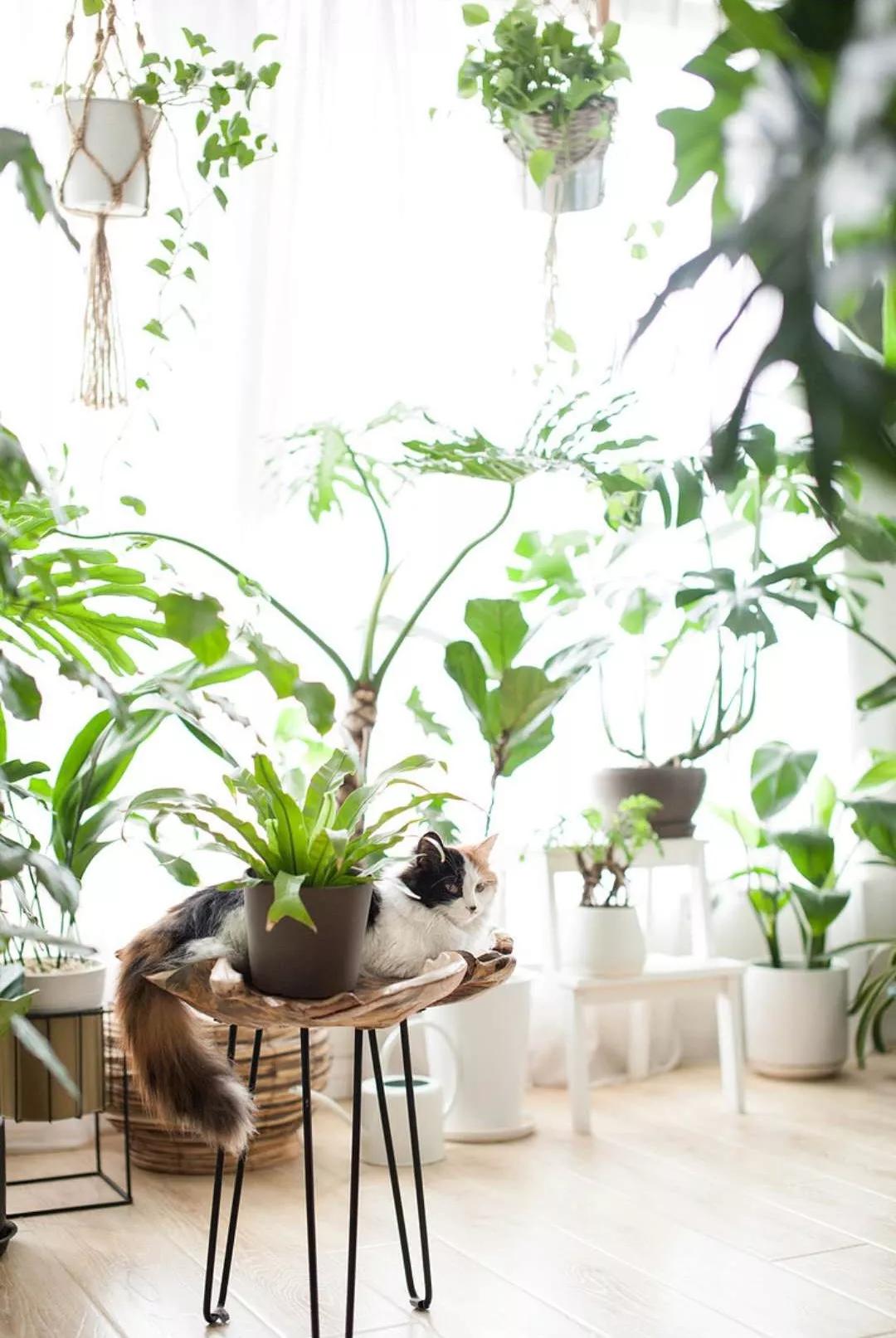 小夫妻98㎡家意外走红！登北京地铁广告，这个家才是都市里的奢侈