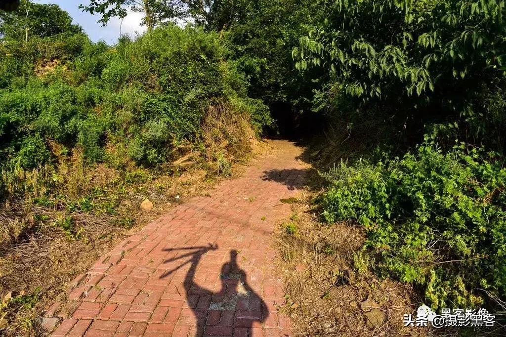 精致小青岛,秀美渔村入画来