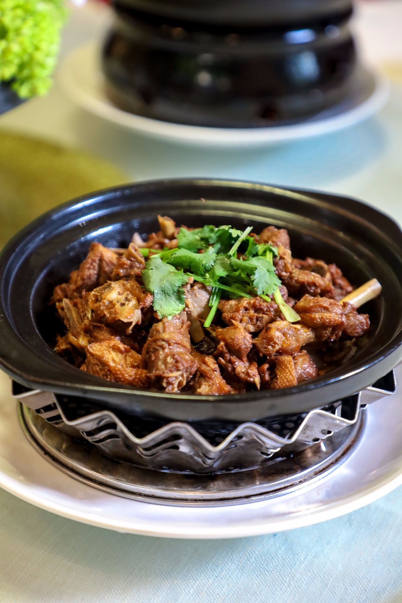 呀诺达雨林探险是什么,三亚呀诺达雨林正规吗