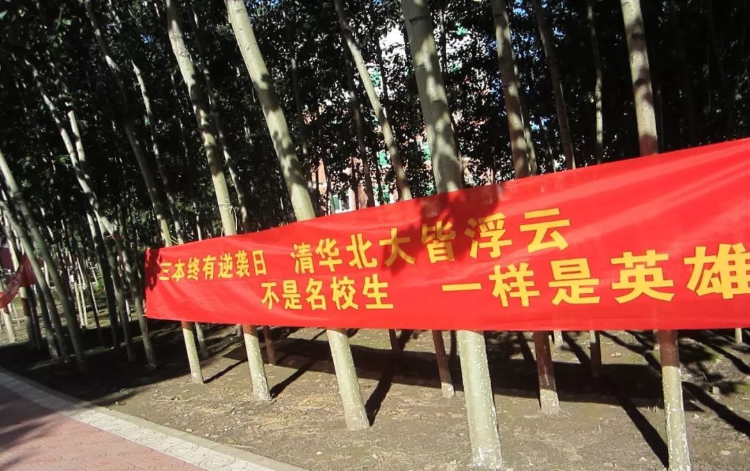 独立学院：夹缝中的大学