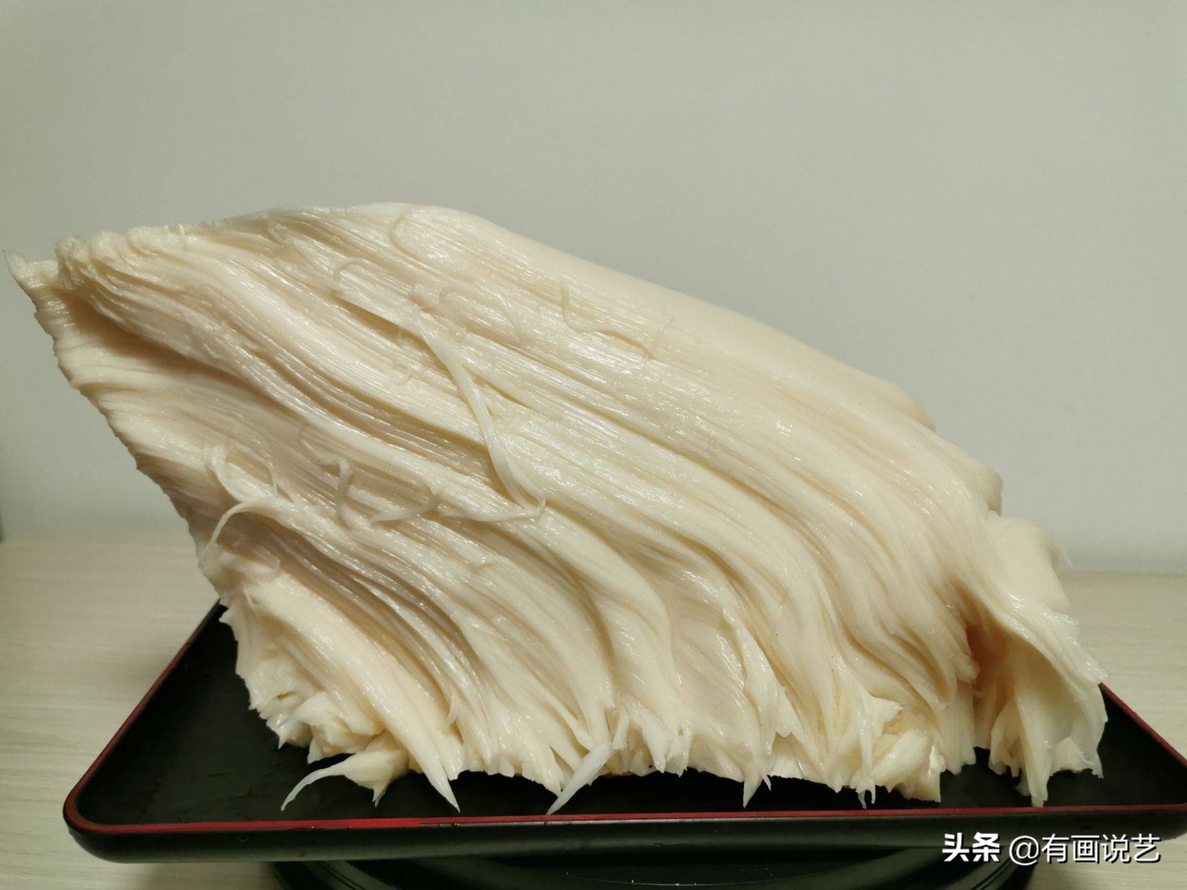 太岁是植物和动物的祖先么,太岁是一种什么东西是植物吗