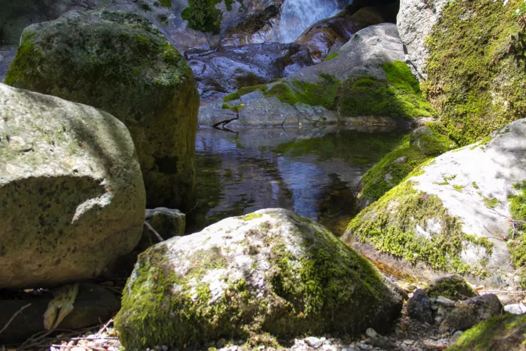 索道9公里,太平山索道80一个来回多久