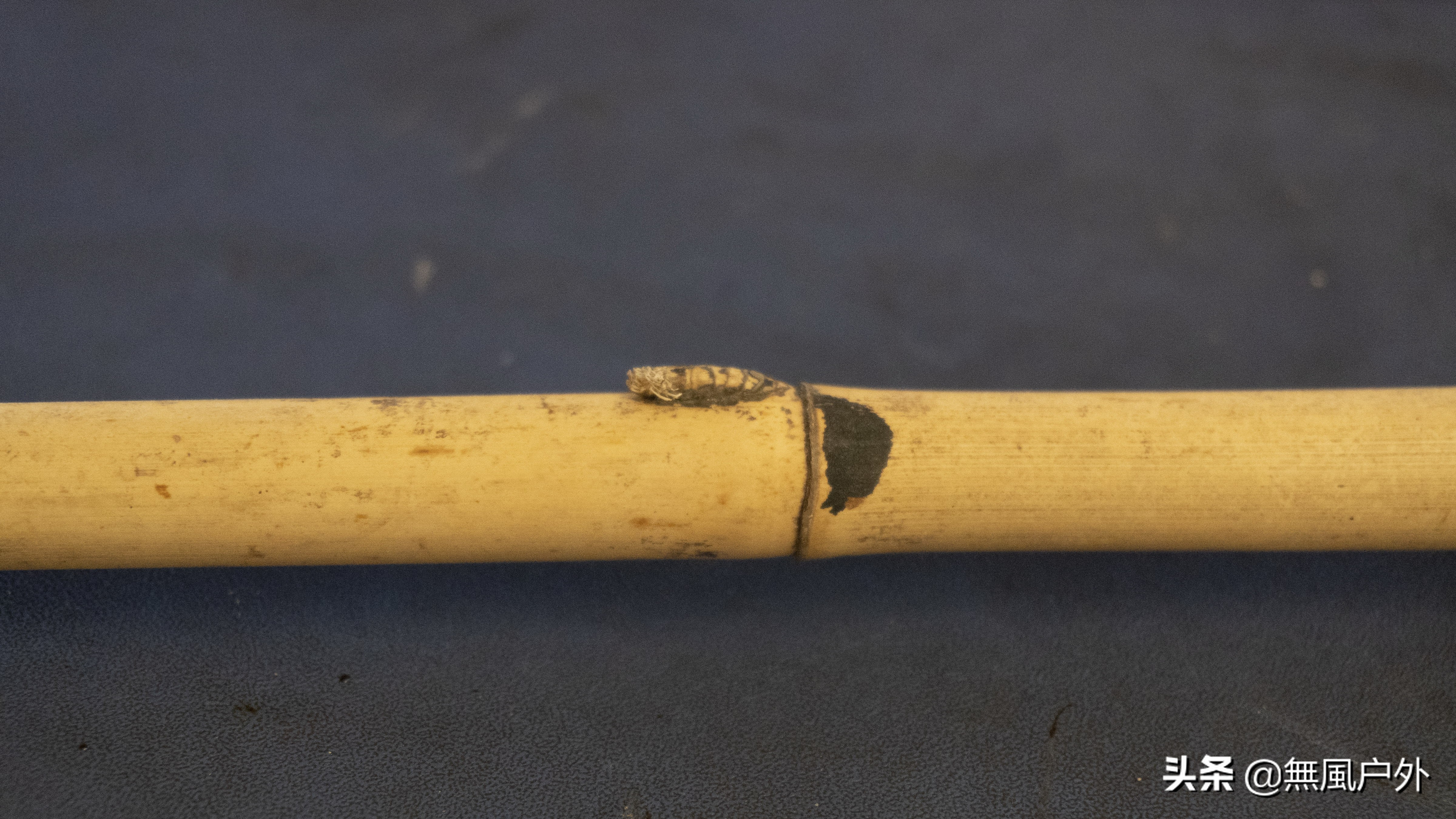 竹制鱼竿怎么用最好呢图解,竹鱼竿diy教程拼接