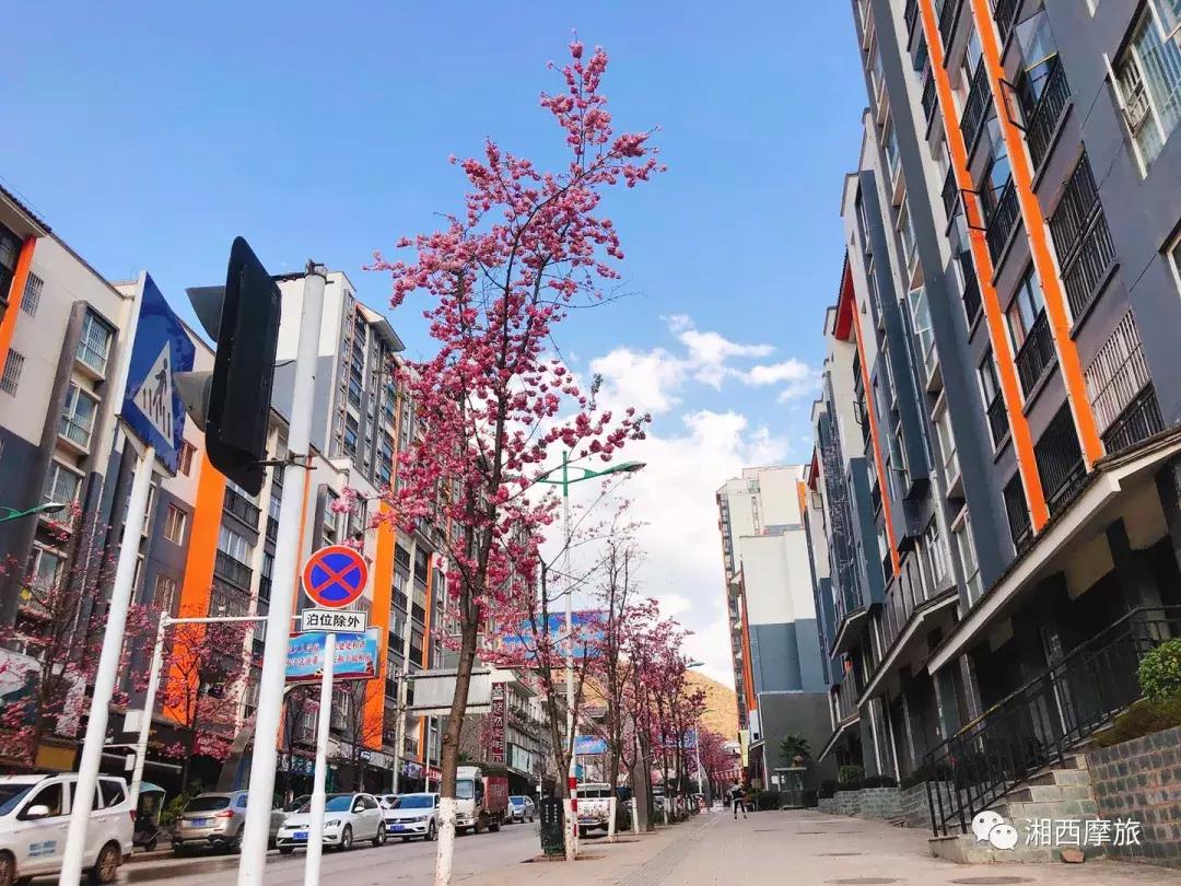 骑行中国麦田：第十二天，诺邓村