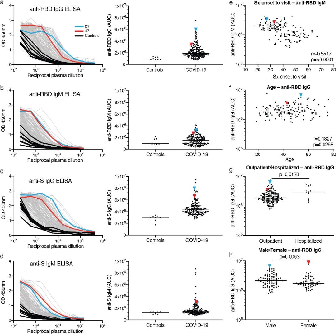 新冠康复抗体是针对一种毒株吗,新冠康复后抗体可抵抗不同毒株吗