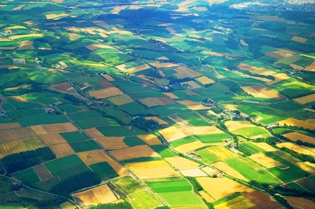 日本真实的街道,日本真的满街都没有垃圾吗