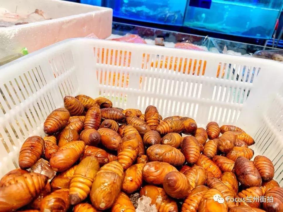 兰州好吃又实惠的海鲜,兰州值得推荐海鲜店